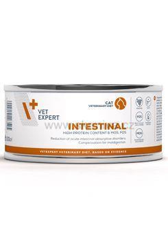 VetExpert VD 4T Intestinal Cat konzerva 100g