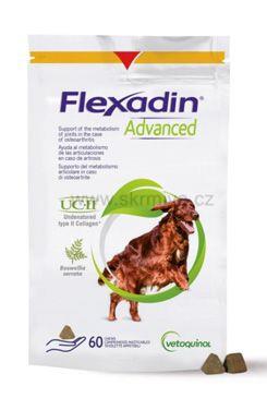 Flexadin Advanced 60tbl New